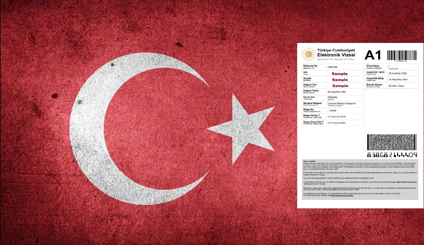 Обзор заявления на получение визы в Турцию